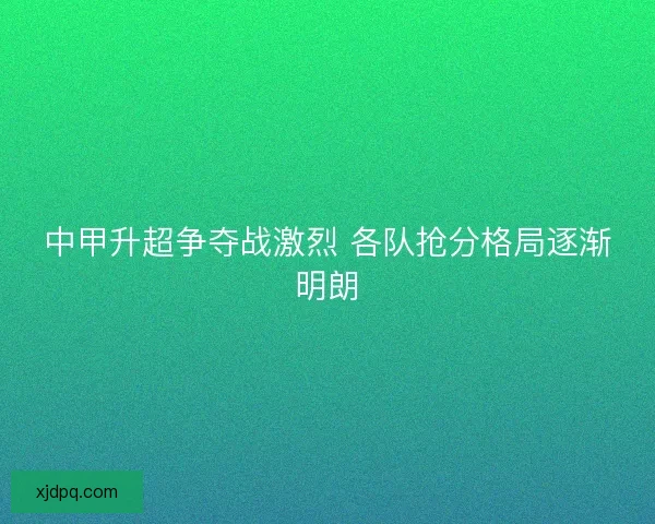 中甲升超争夺战激烈 各队抢分格局逐渐明朗
