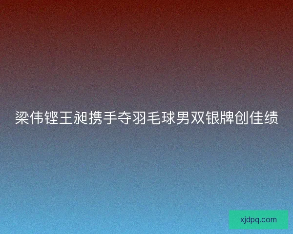 梁伟铿王昶携手夺羽毛球男双银牌创佳绩